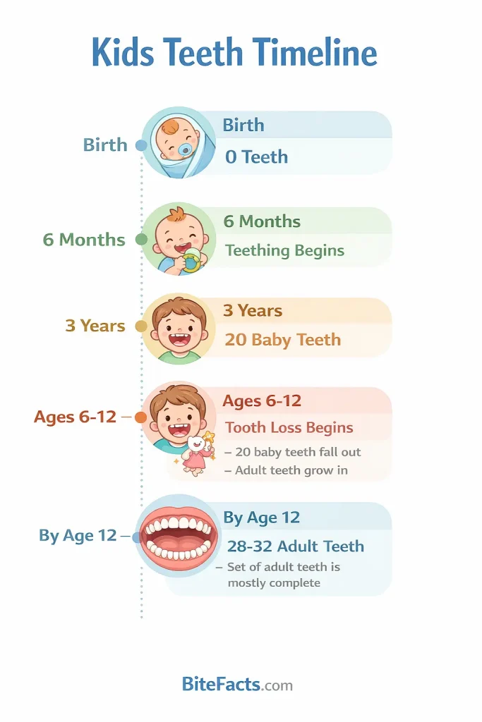 Timeline infographic showing how many teeth kids have from birth to age 12